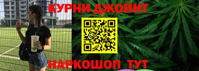 мдпв Кингисепп