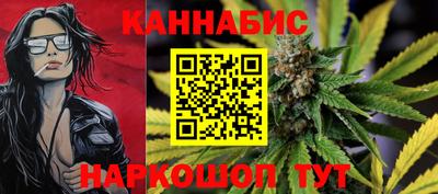 мдпв Кингисепп