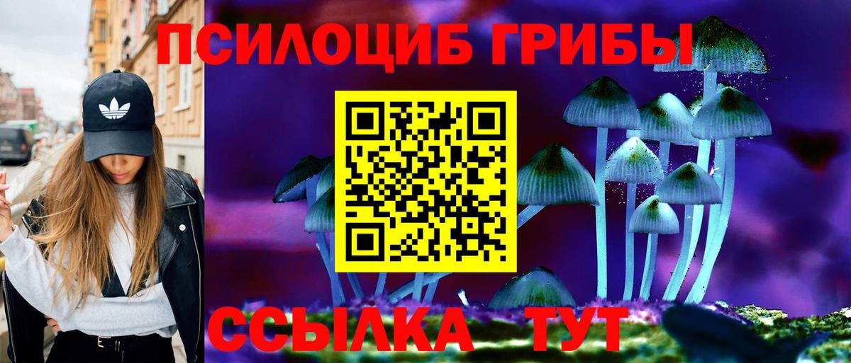 Псилоцибиновые грибы Psilocybe  Вход с VPN  Курчалой 