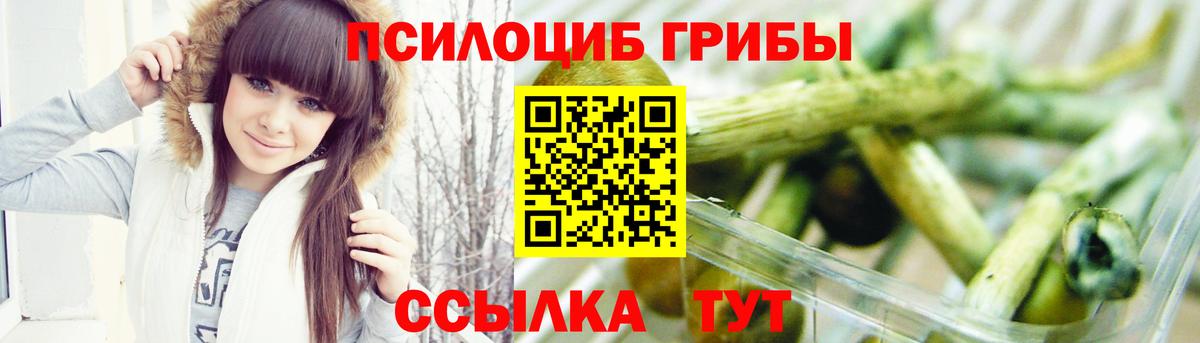 Псилоцибиновые грибы ЛСД Курчалой